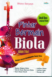 Pintar bermain biola dalam 1 hari