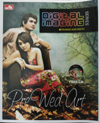 Image of Digital Imaging Series: Pre Wed Art