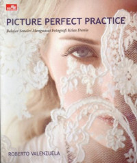 Image of Picture Perfect Practice : Belajar Sendiri Menguasai Fotografi Kelas Dunia