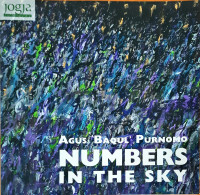 Numbers in the Sky