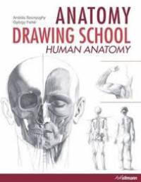 Anatomi Drawing School Human